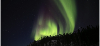 Aurora By Bus2
